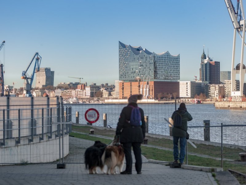 Hund Hamburg