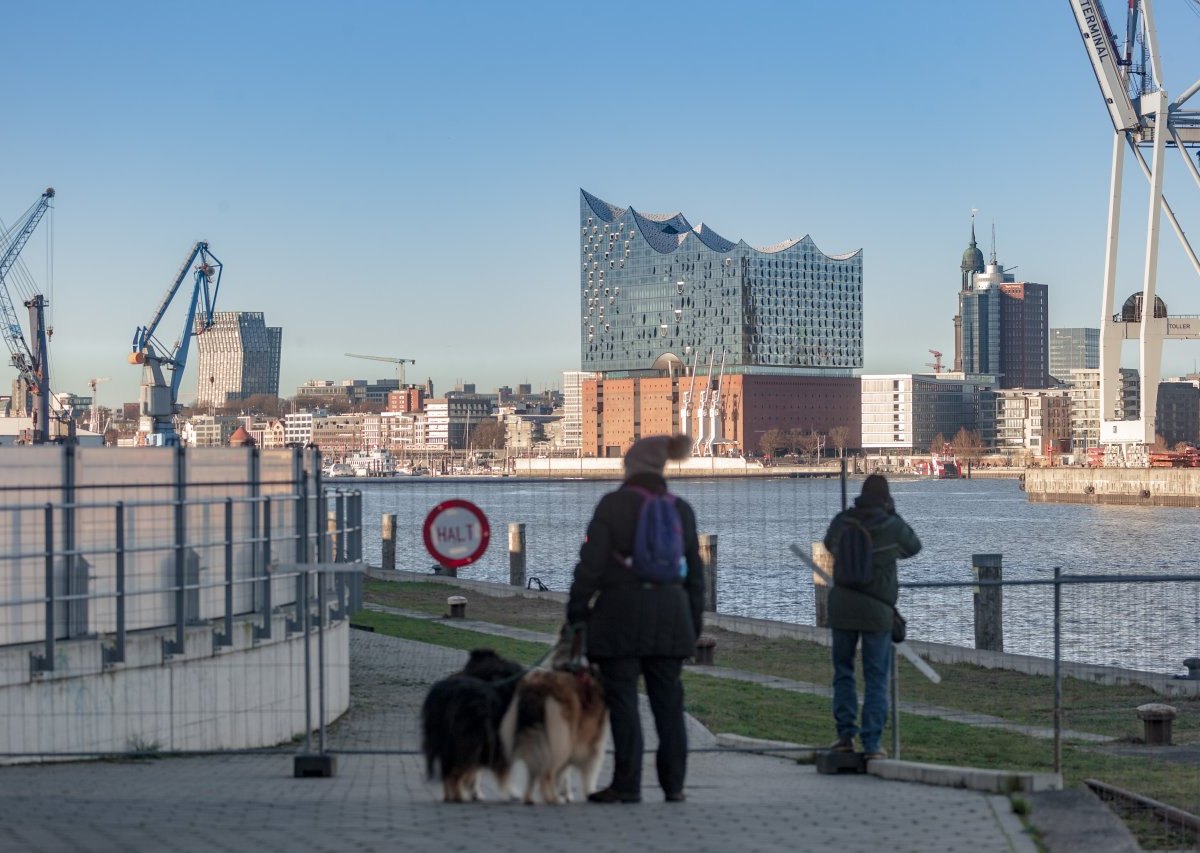 Hund Hamburg