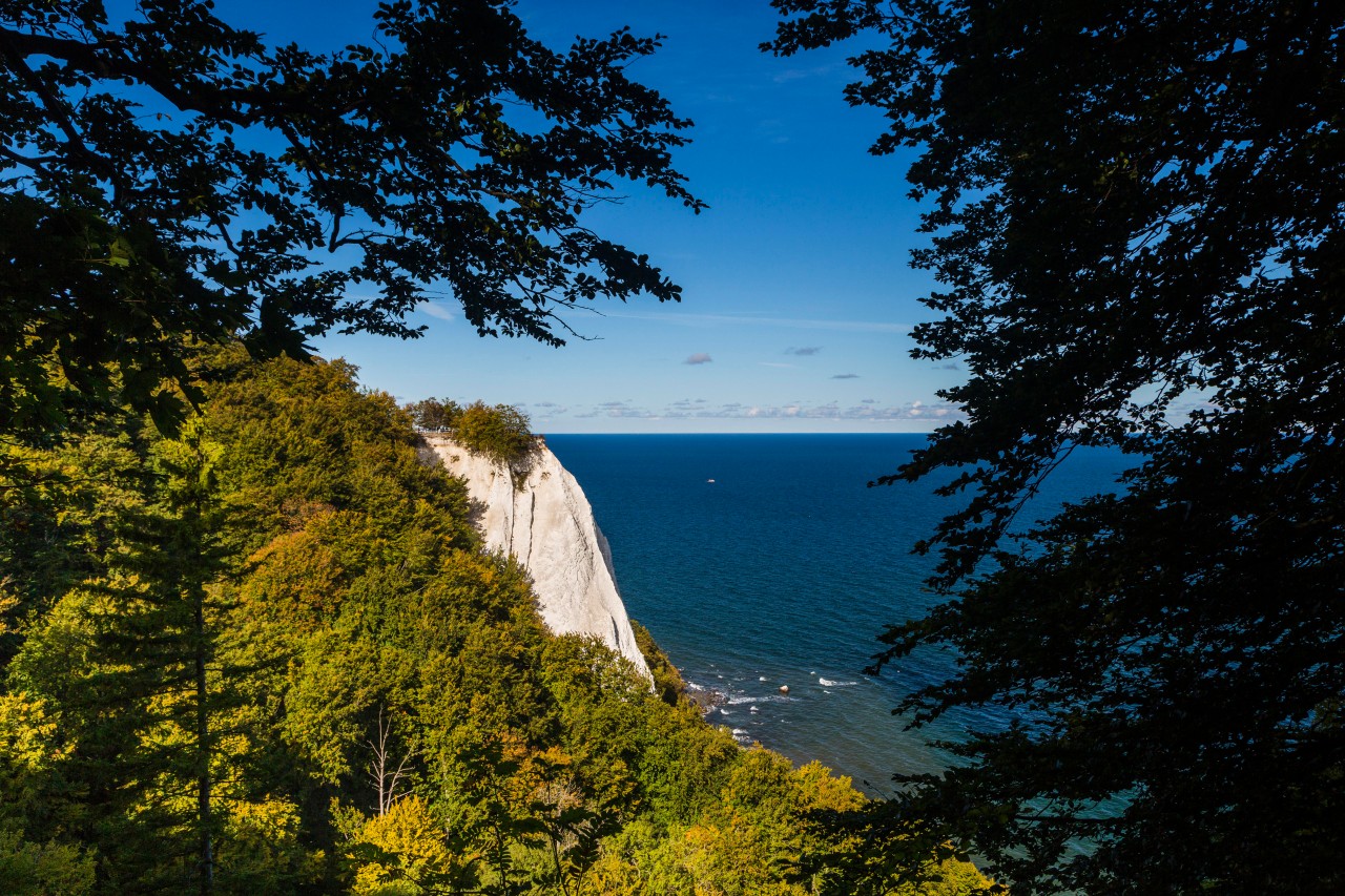 Blick auf den Koenigsstuhl mit Buchenwald auf Rügen. 