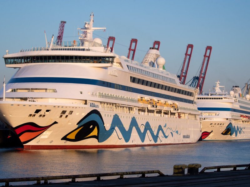 Aida Kreuzfahrt Corona Hamburger Hafen Hamburg TUI Umwelt Die Linke