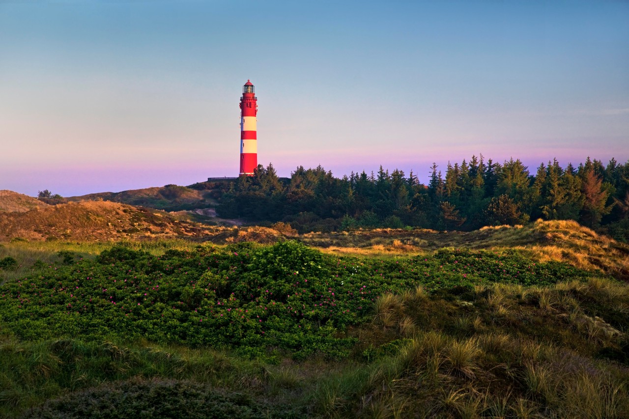 Auf Amrum haben Insulaner eine schöne Überraschung erlebt. 