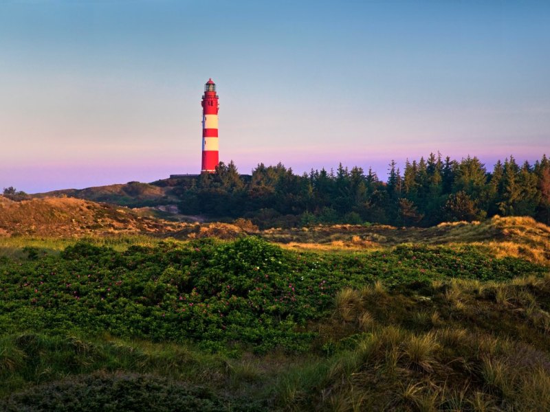 Amrum Nordsee