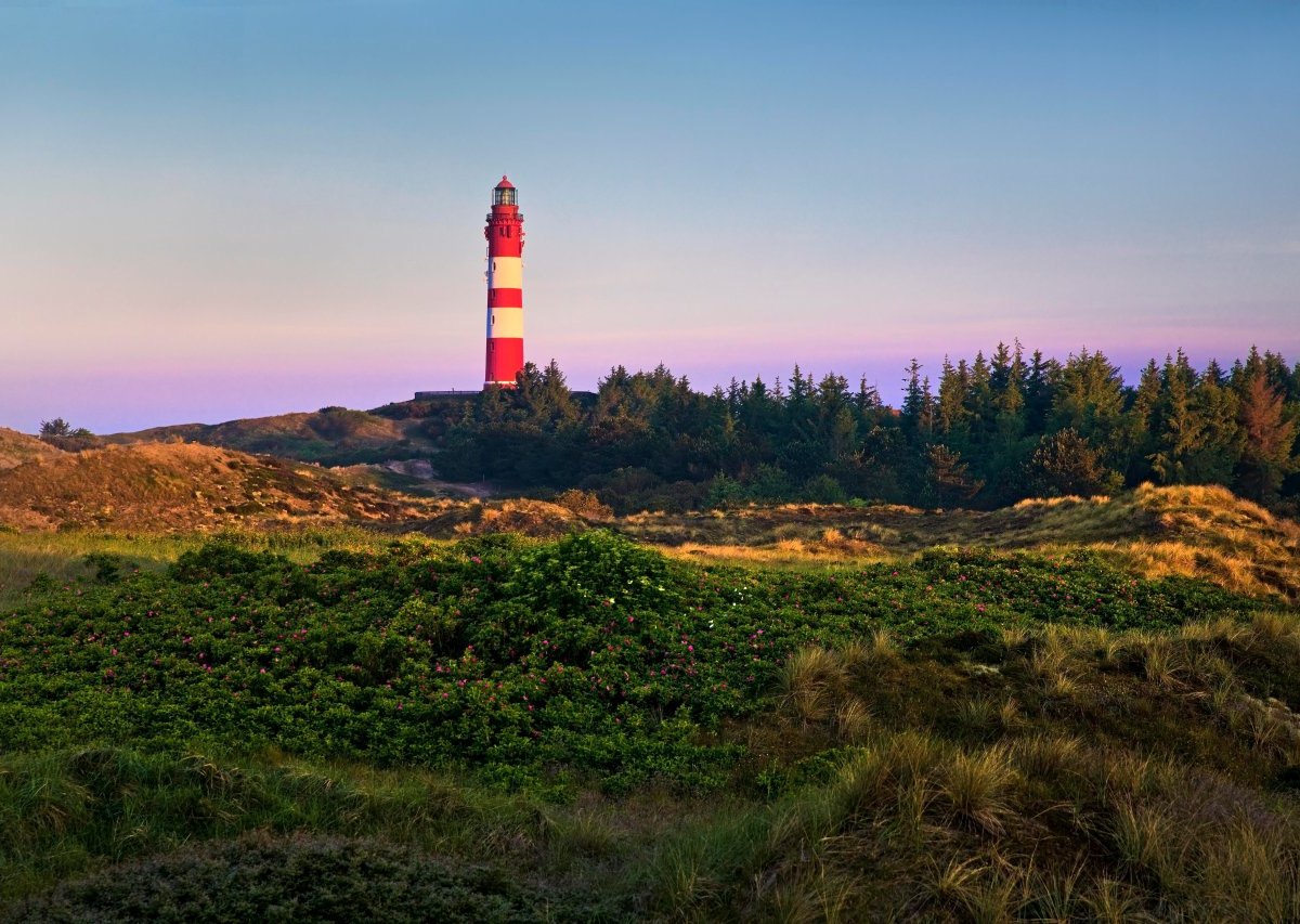 Amrum Nordsee