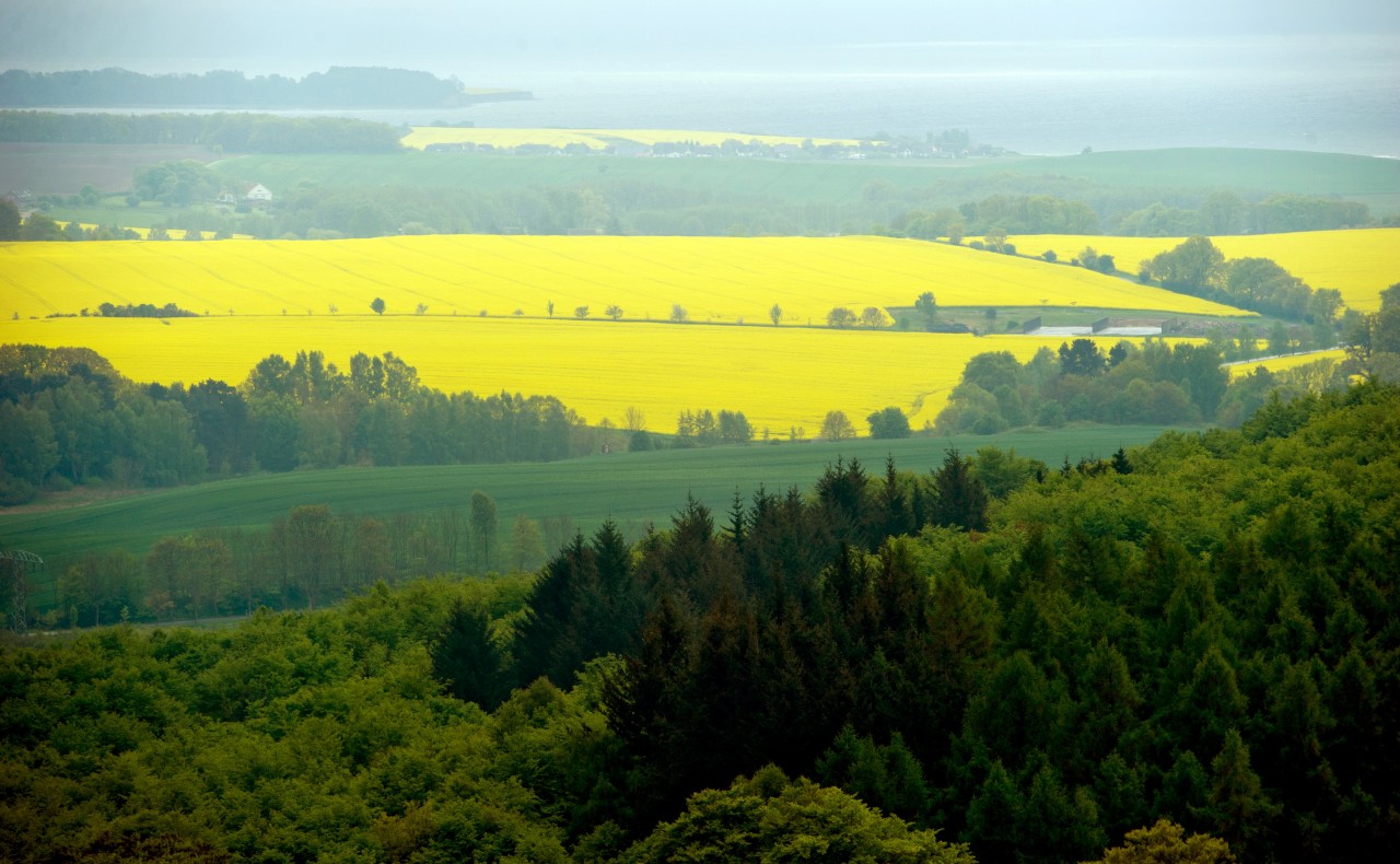 Der Ausblick vom Turm im Jagdschloss Granitz entschädigt für Vieles.