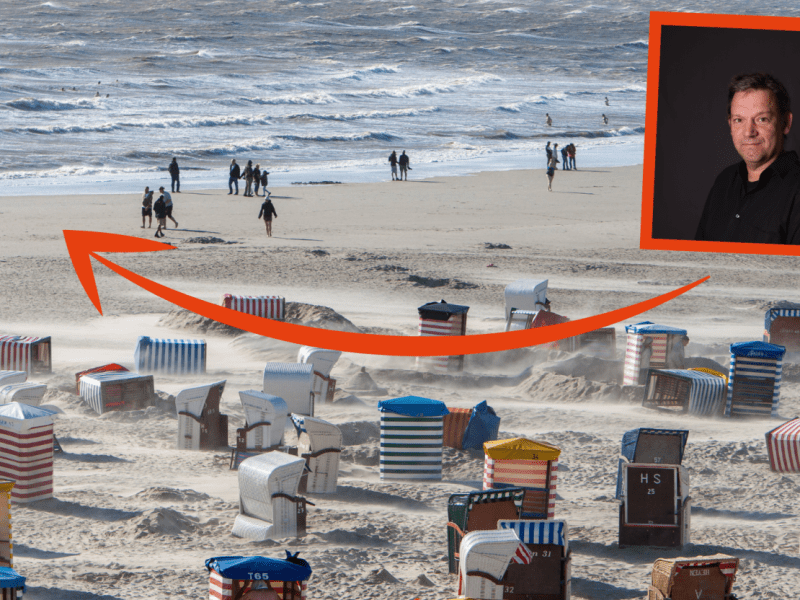 Borkum Sensations-Fund Fliege Hyadina borkumensis Nordsee Bremen Niedersachsen Jens Hermann Stuke
