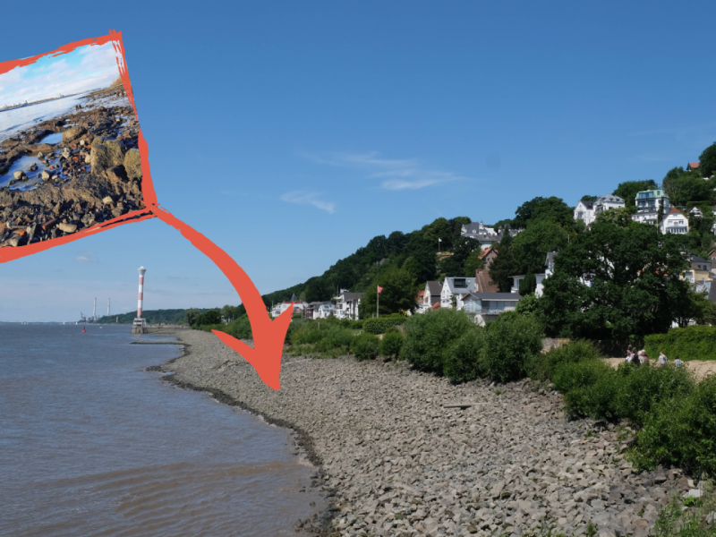 Elbstrand.png