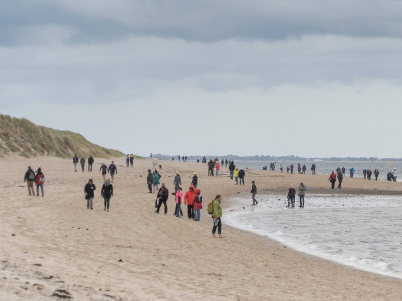 Ellenbogen Sylt.jpg