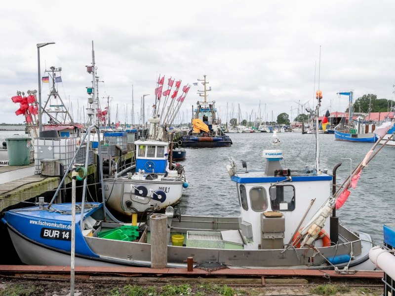 Fehmarn Burgstaaken Lockdown