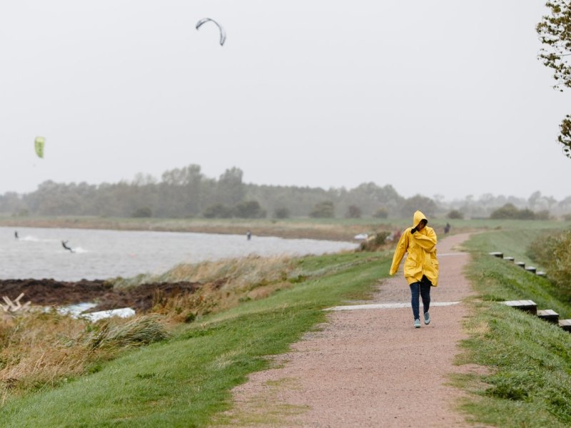 Fehmarn_Deich_ .jpg