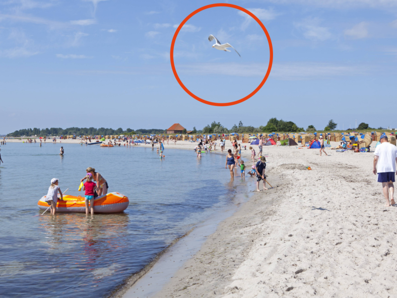 Fehmarn Entdeckung Folgen Region.png