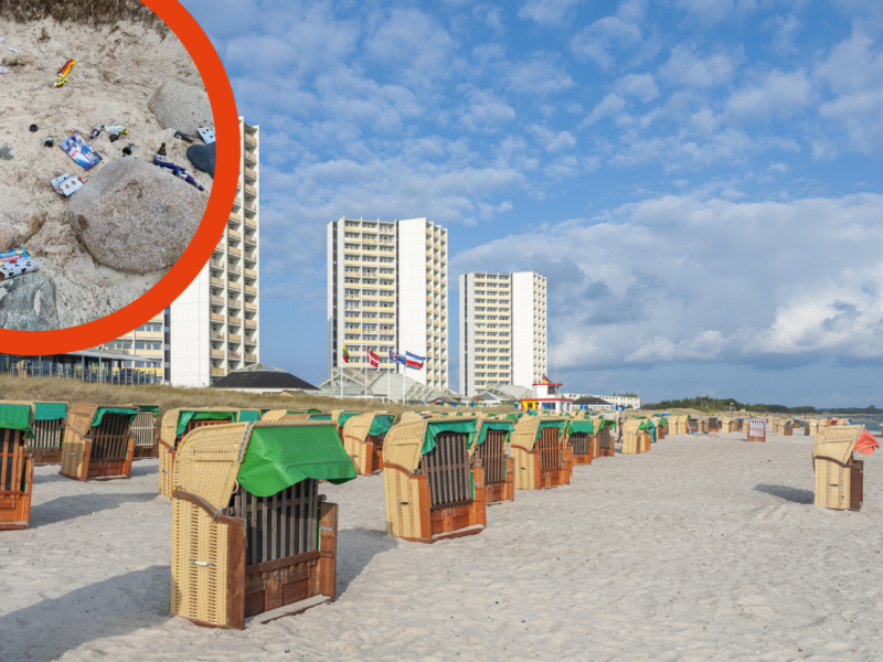 Fehmarn Ostsee Urlaub Hund Hauptstrand Südstrand Müll Abfall Ordnungsamt Facebook