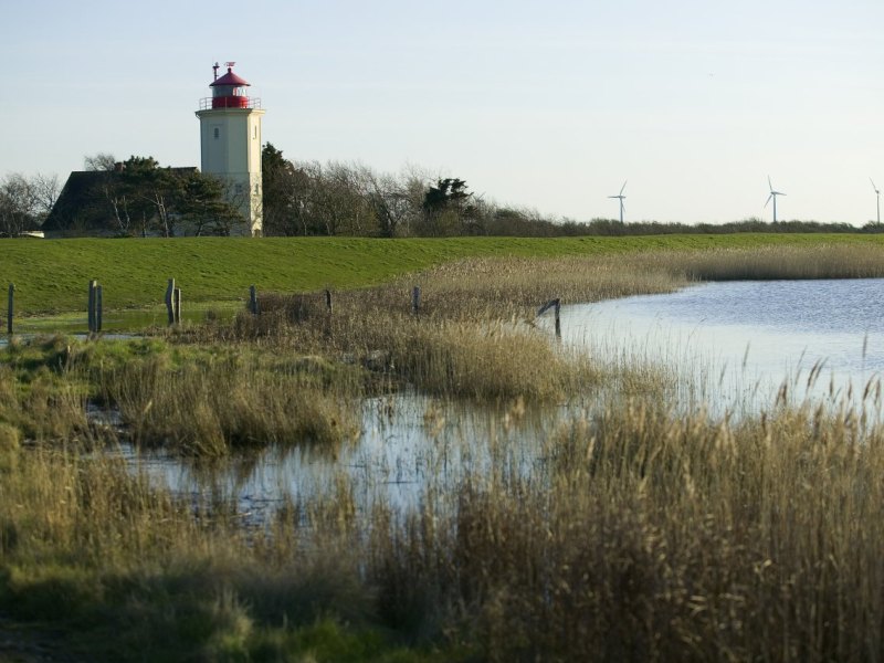Fehmarn Ostsee Urlaub Parken Auto Gebühr Parkplätze Deich Strand Westermarkelsdorf