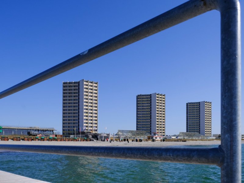 Fehmarn Rehe