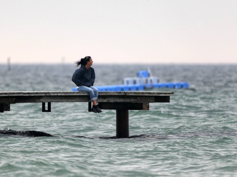 Fehmarn Strand Steg.jpg