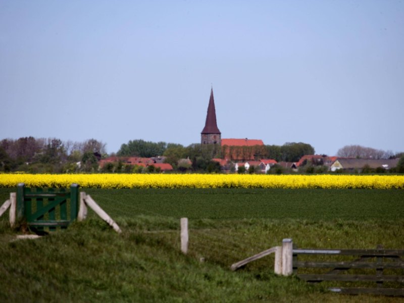 Fehmarn Sylt Petersdorf Immobilienpreise Facebook Quadratmeter