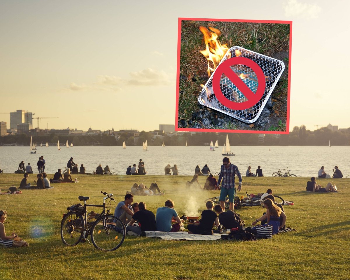 Feuer Hamburg Grillen.jpg