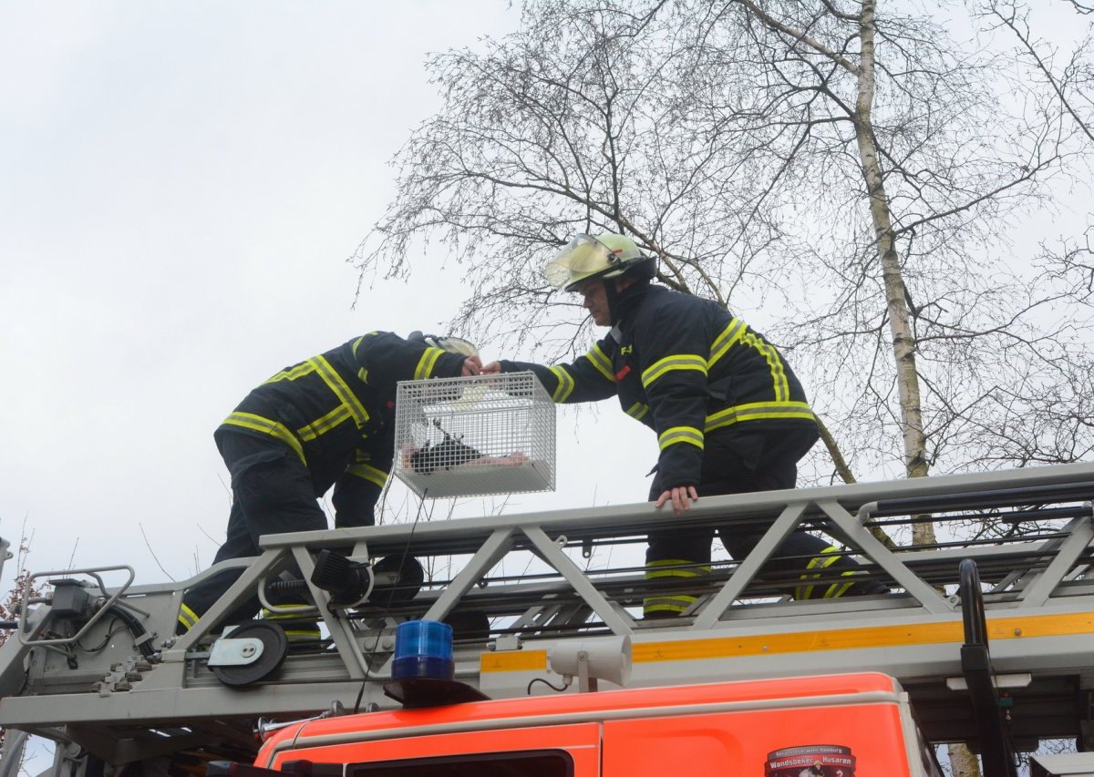 Feuerwehr Jenfeld