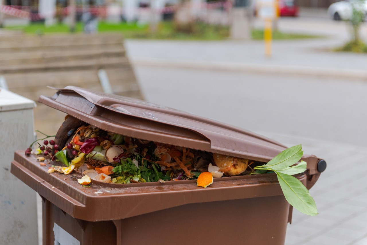 In Flensburg und Umgebung stellte die Müllabfuhr Probleme mit dem Biomüll fest.