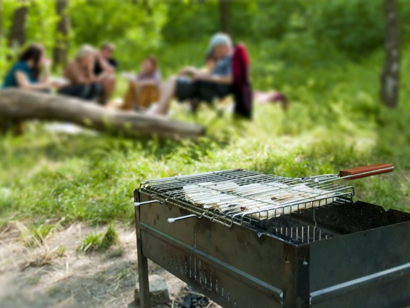 Grillen Camping.jpg