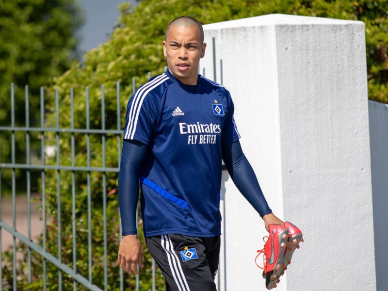 HSV Bobby Wood Hamburger sv news