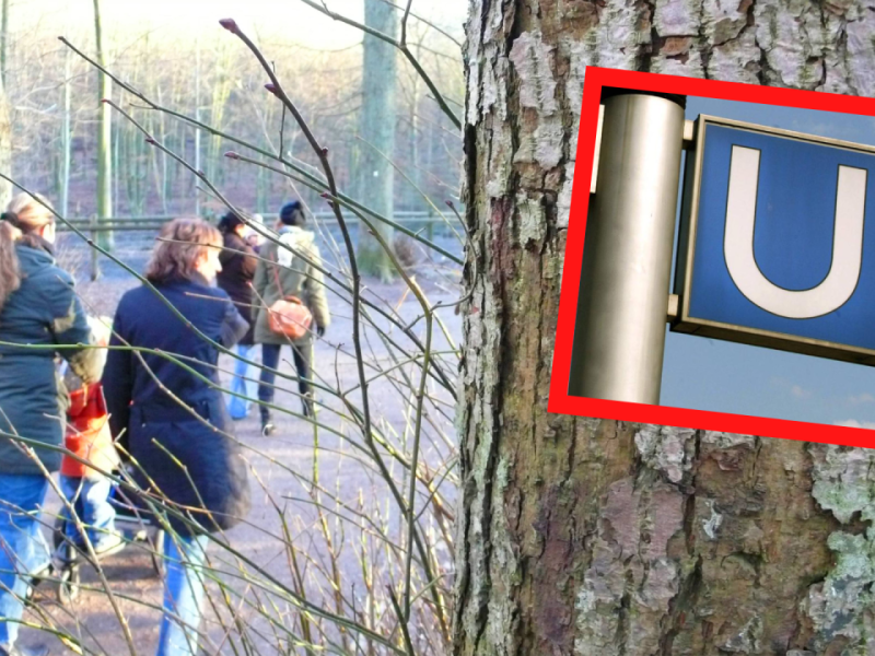 HVV Oldenfelde Wegweiser Verwirrung.png