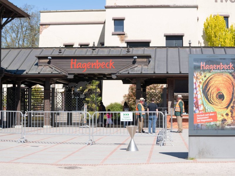 Hagenbeck Tierpark Zoo Hamburg Nachwuchs Tiere Junge Walross Thor Odin