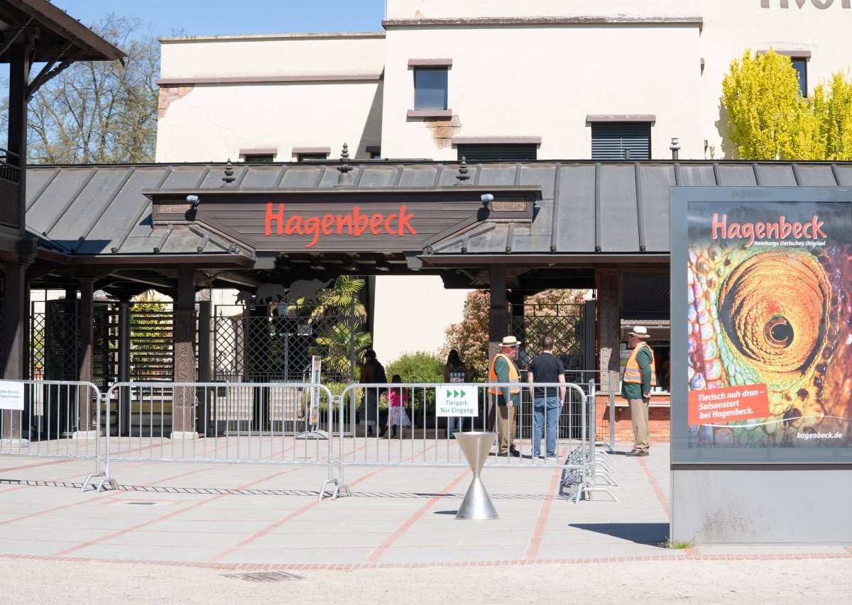 Hagenbeck Tierpark Zoo Hamburg Nachwuchs Tiere Junge Walross Thor Odin