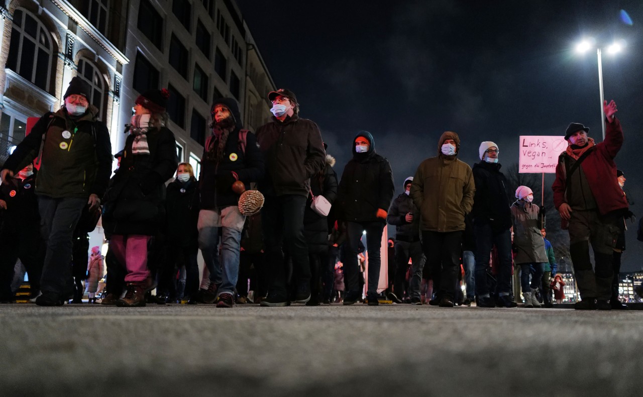 Demonstranten in Hamburg.