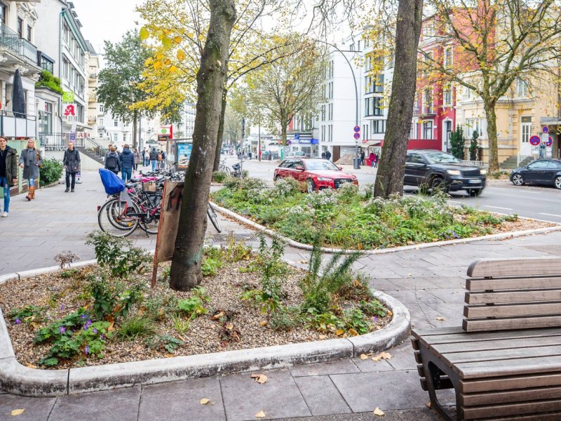 Hamburg Eimsbütteler Straße Blumenbeet.jpg