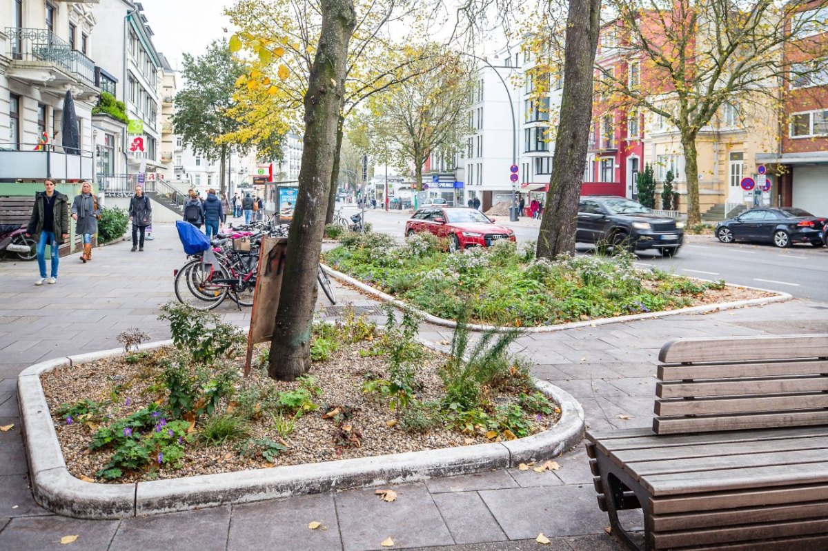 Hamburg Eimsbütteler Straße Blumenbeet.jpg