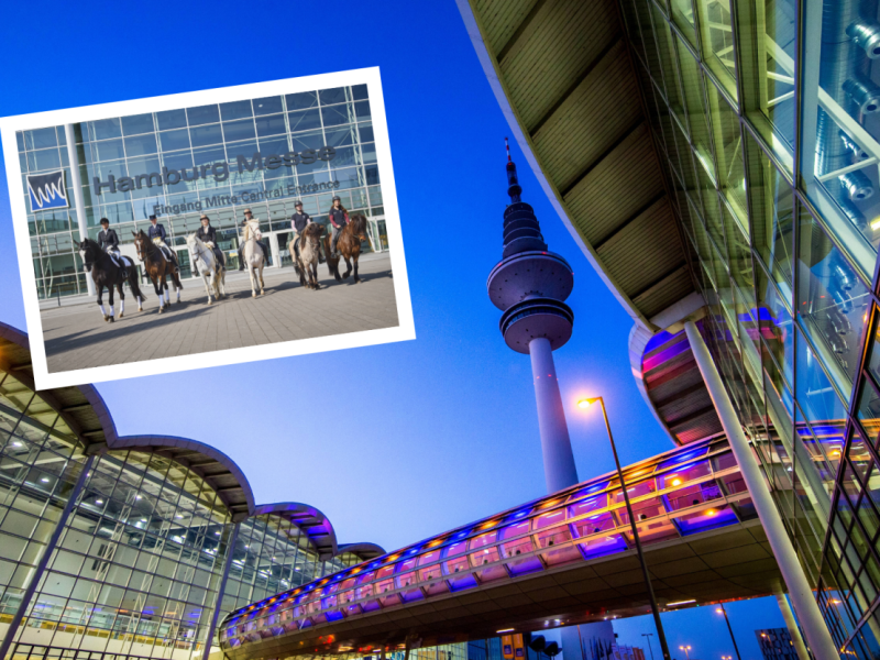 Hamburg Hansepferd Messe Absage Neumünster Hannover Corona Congress