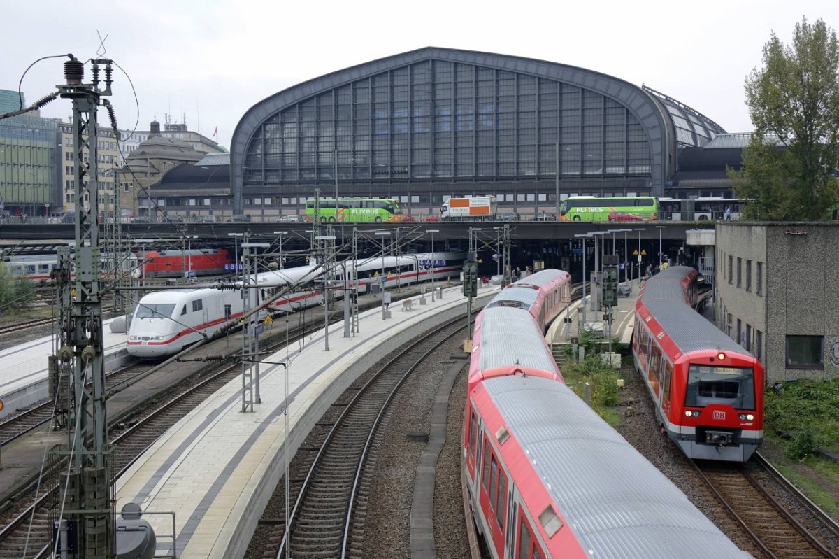 Hamburg Hauptbahnhof S-Bahn Züge.jpg