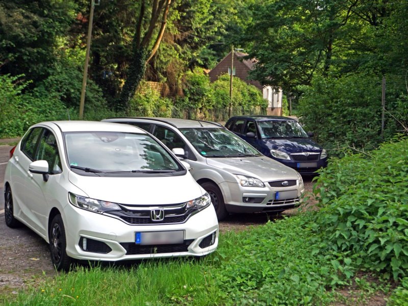 Hamburg Mann Heide Ausflug Natur Auto Fahrzeug Schaden Unfall.jpg