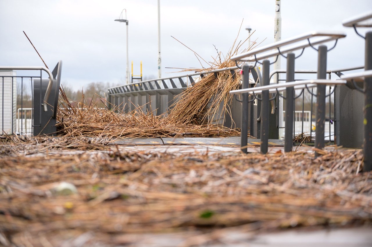 Durch das Hochwasser angespültes Treibgut und Unrat liegen auf der Brücke zum Anleger Teufelsbrück an der Elbe. 