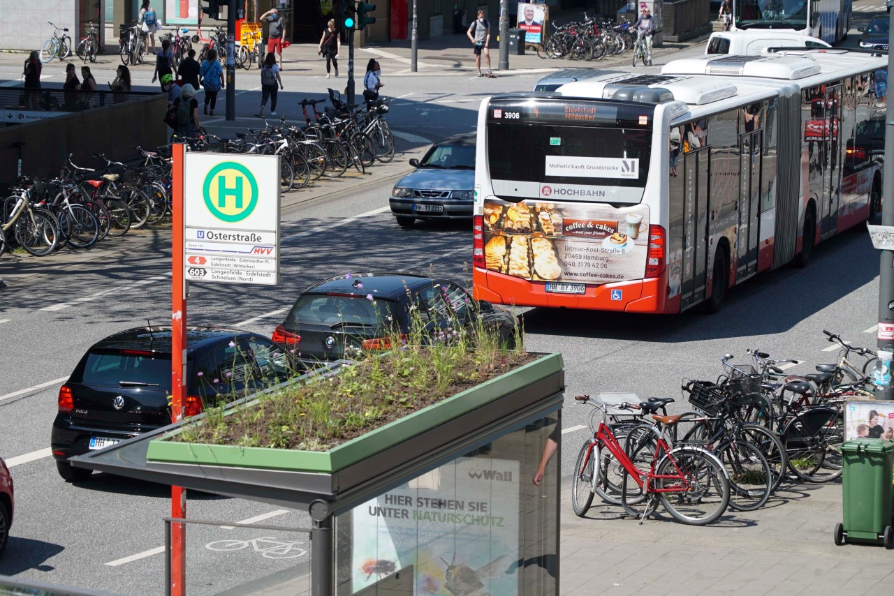 Die Bushaltestelle Osterstraße in Hamburg.