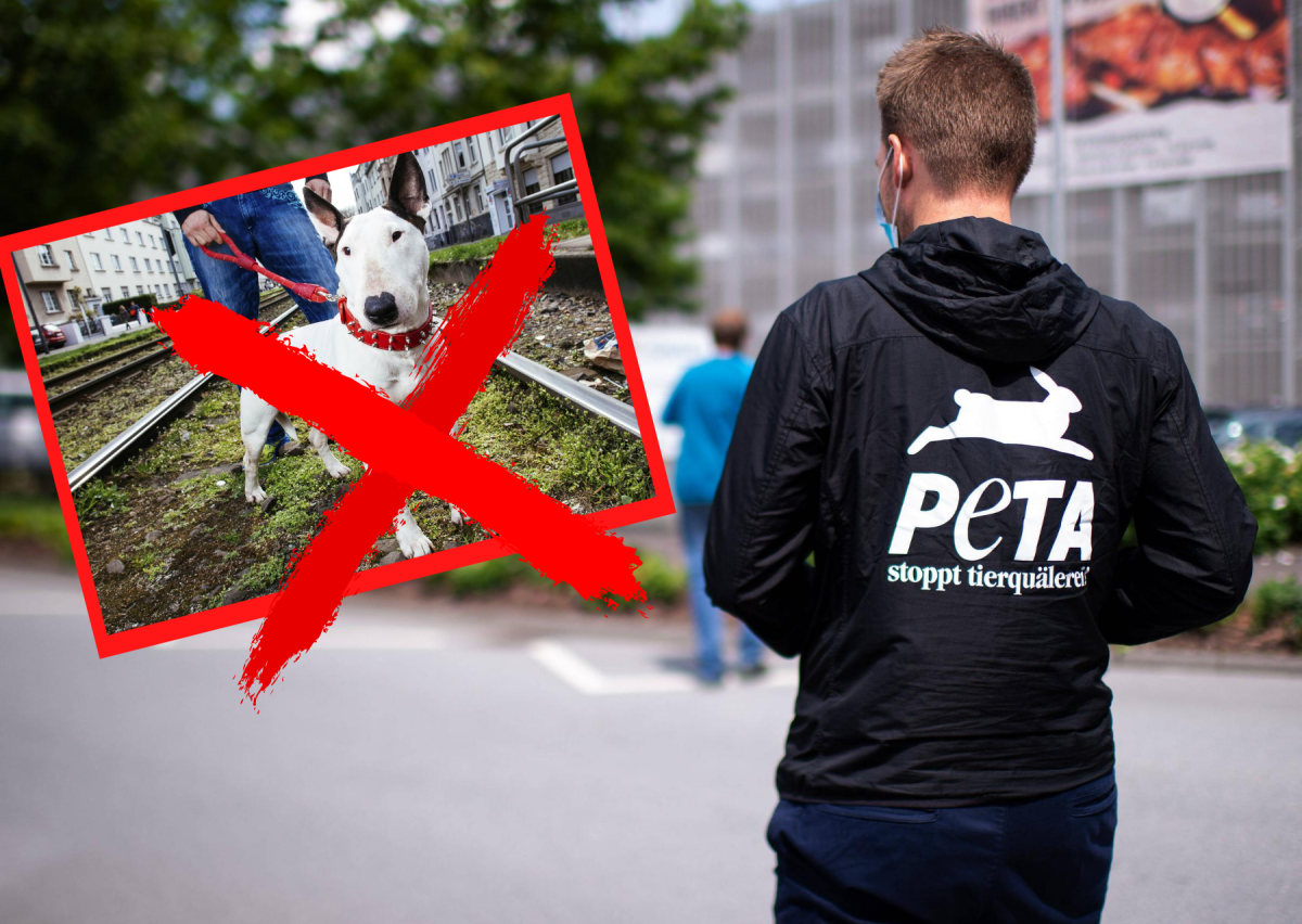 Hamburg-Peta.png