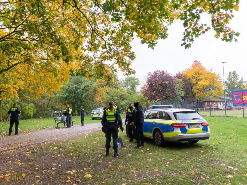 Hamburg-Schanzenpark.jpeg