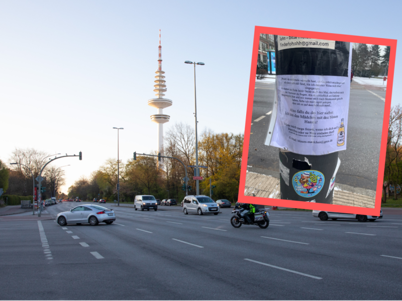 Hamburg Schlump Bahn Blaue Haare