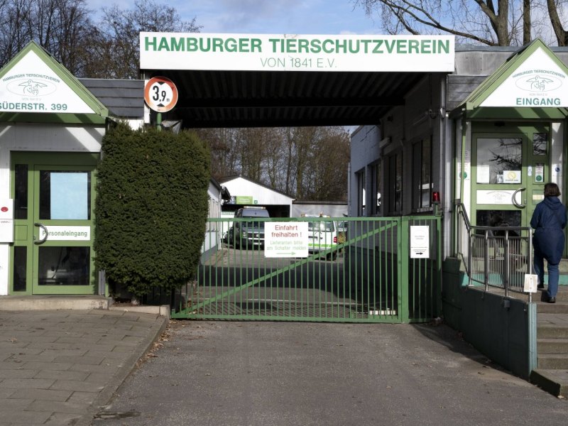 Hamburg Tierheim Ferien