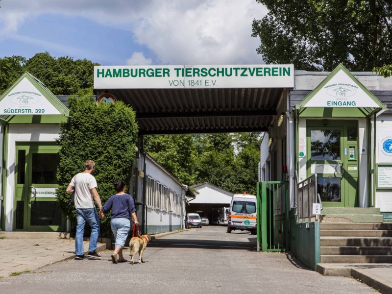 Hamburg Tierheim Süderstraße.jpg