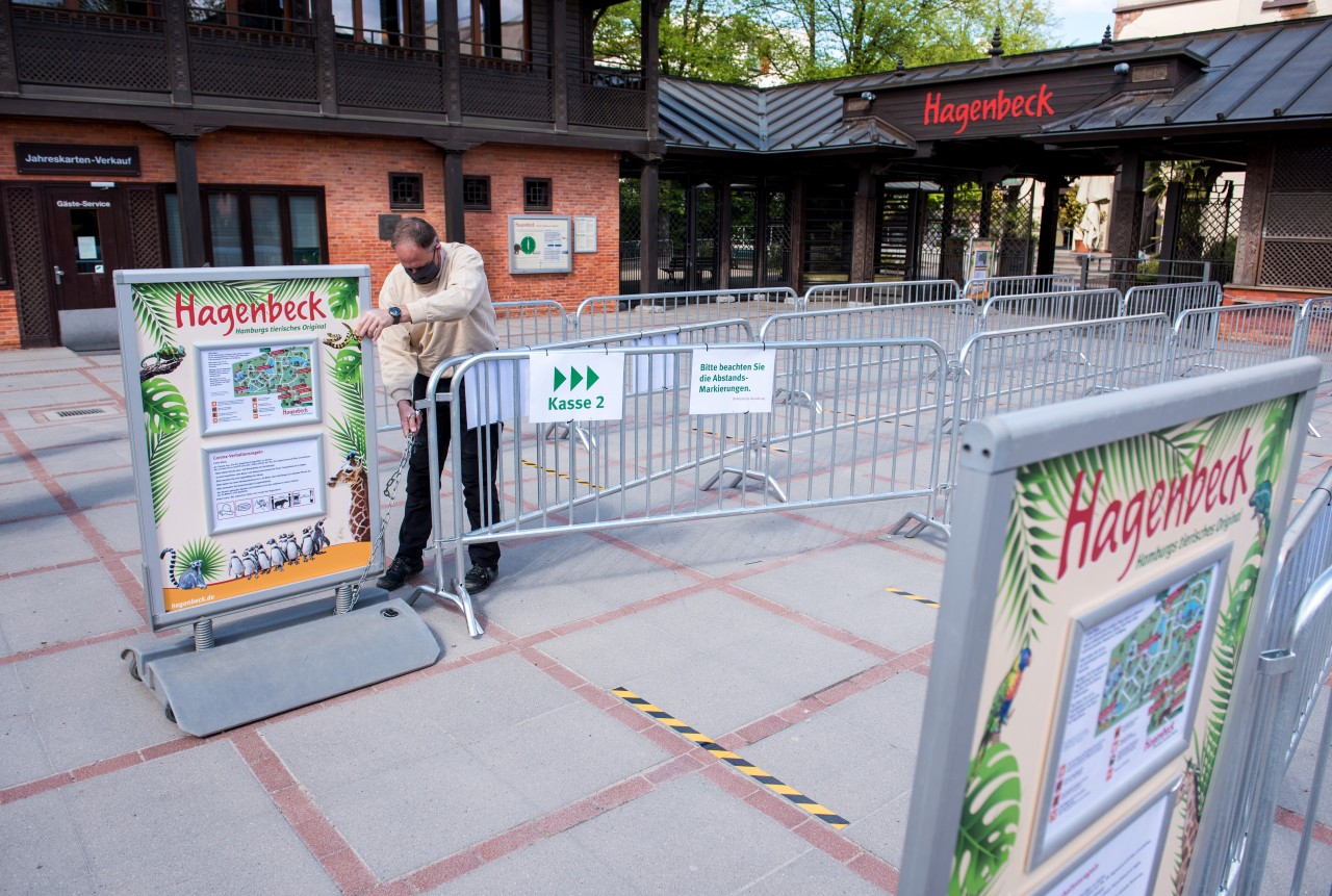  Ab dem 8. März dürfen Galerien, Gärten, Museen, Zoos und Gedenkstätten wieder Publikum empfangen, doch bei Hagenbeck dauert es noch etwas.