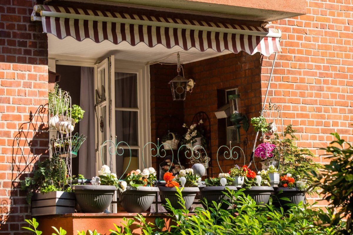 Hamburg Wandsbek Senat Bezirk Balkon Nord Mitte Eimsbüttel Altona Bäume Parks Jens Kerstan Umweltsenator