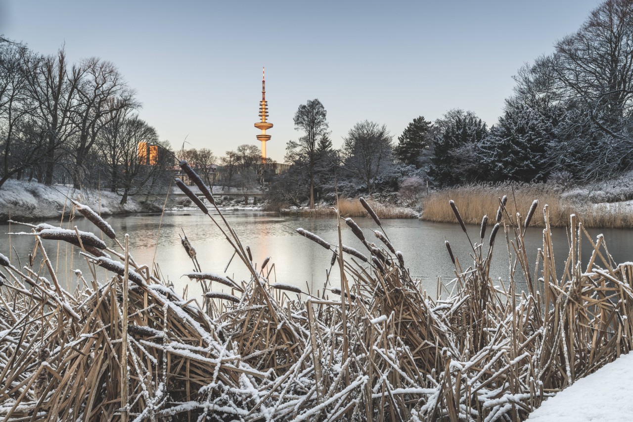 Winterliche Szene im Planten un Blomen.