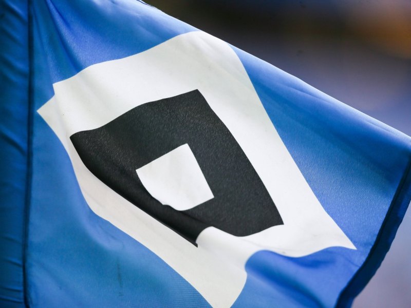 Hamburger SV.jpg