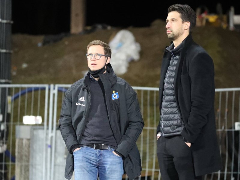Hamburger SV.jpg