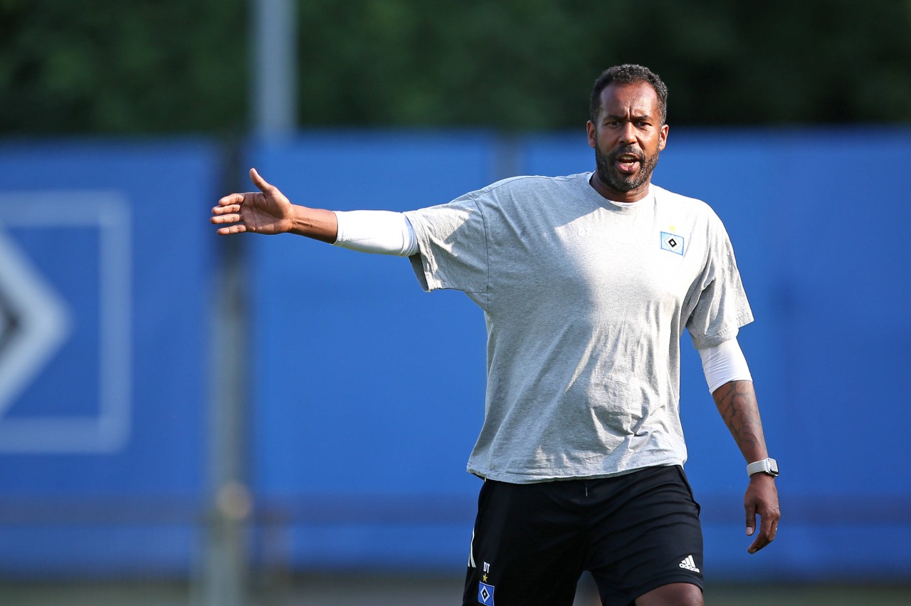 HSV-Trainer Thioune setzt auf die Erfahrung der Neuzugänge.