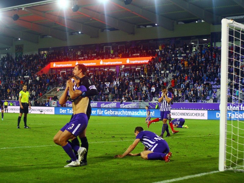 Hamburger SV Erzgebirge Aue
