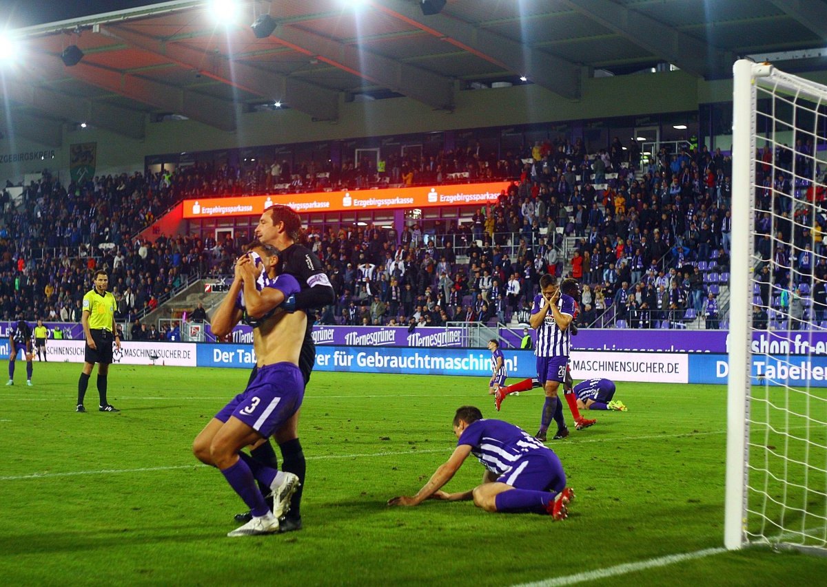 Hamburger SV Erzgebirge Aue