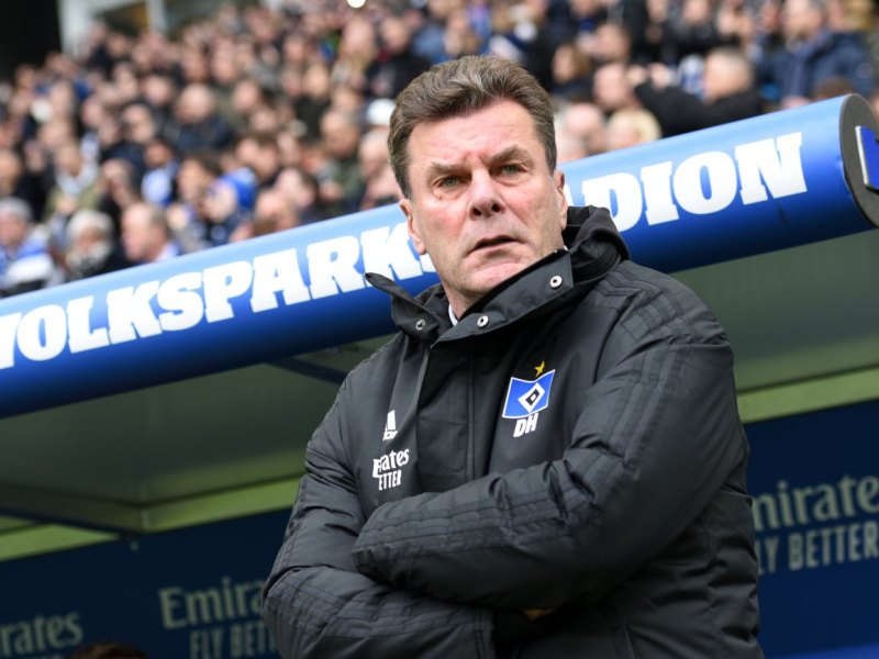 Hamburger SV Hecking Trainer Pause Coronavirus Trainingsrückstand