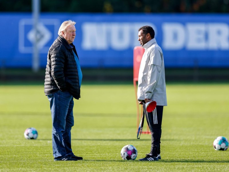 Hamburger SV Hrubesch Thioune